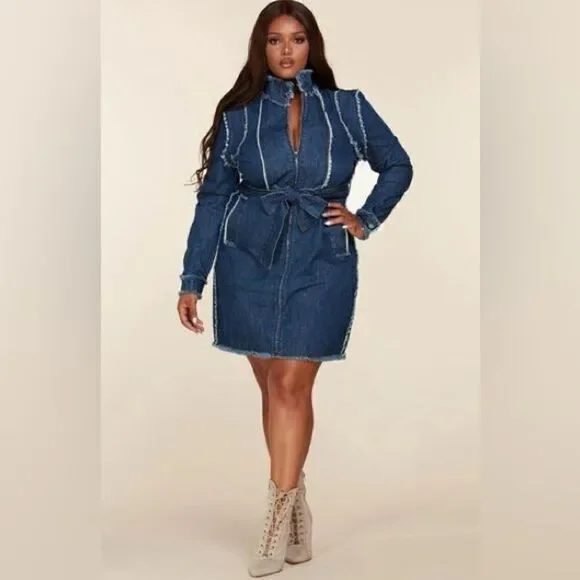 L'Atiste Plus Size Dress Frayed Trim Denim - Picture 10 of 11